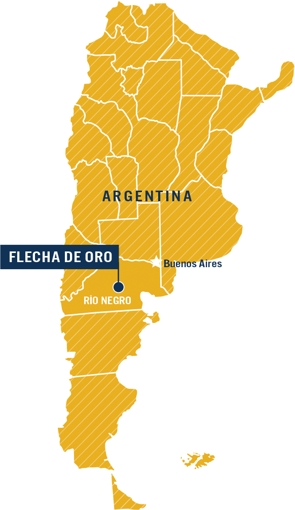 Flecha de Oro