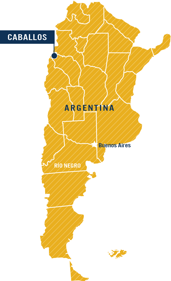 Caballos