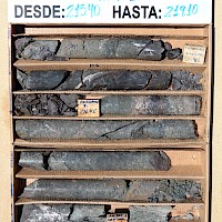 CO11DH_001    215 - 219